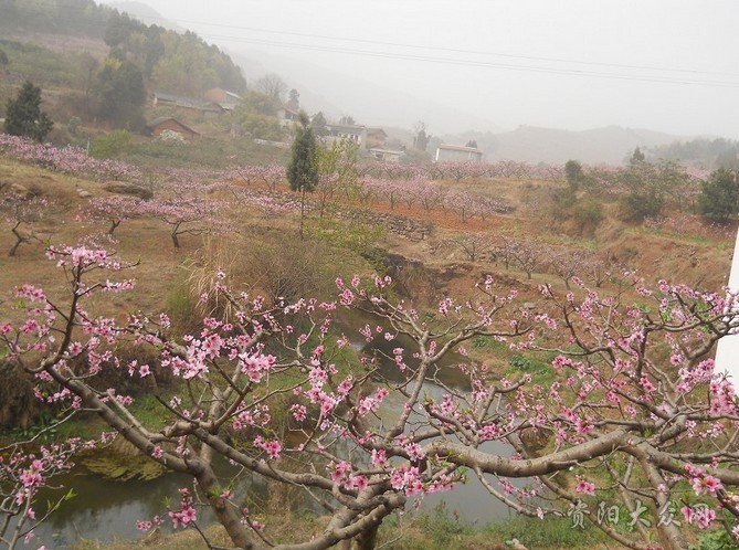 春节过后桃花运势好