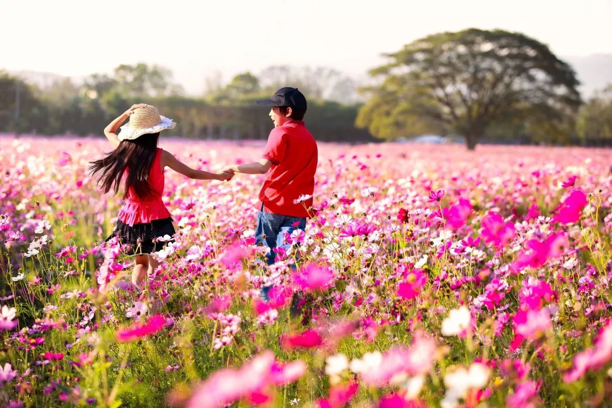 八月桃花运势极佳