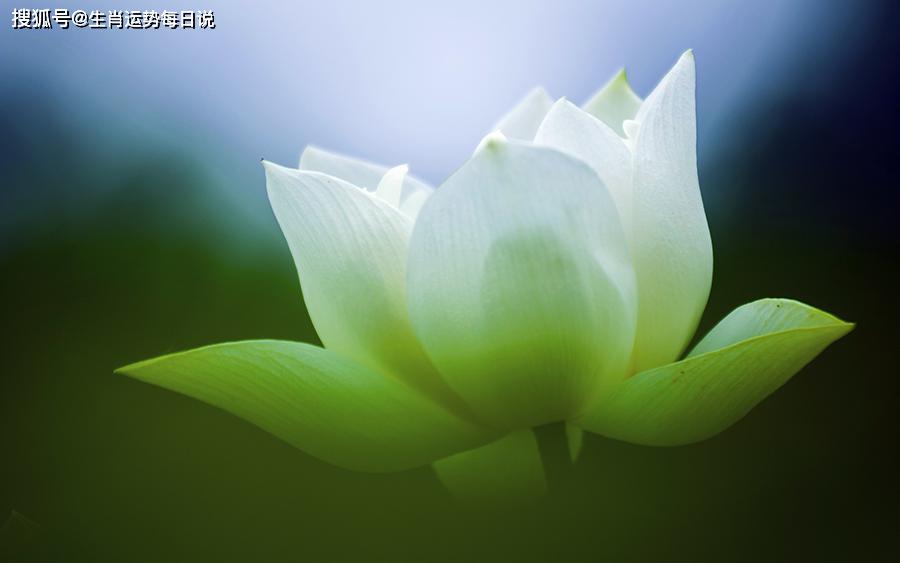 未来俩月迎来富贵亨通的运势