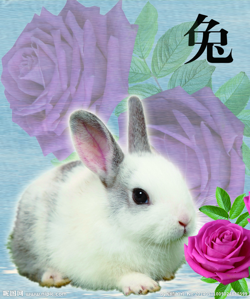 生肖兔8月份桃花运势