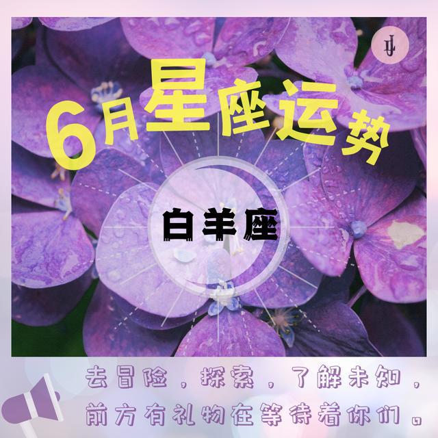 白羊座2021年12月桃花运势