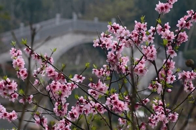 易经桃花运的破解