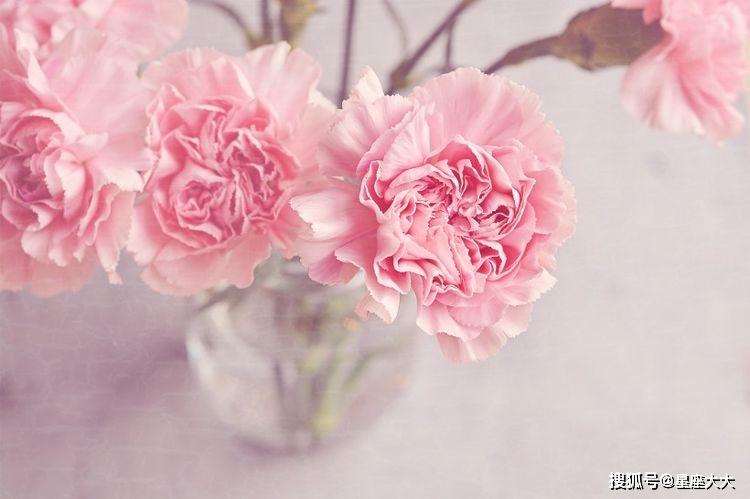 八字看异性缘与桃花运