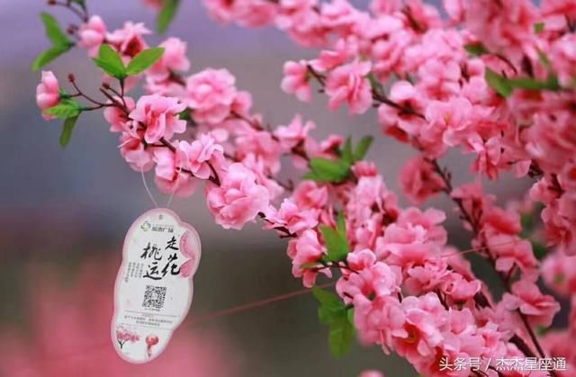 八字看异性缘与桃花运