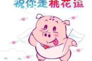 算命说的桃花运