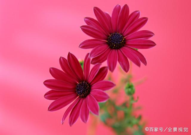 桃花运势比较差的月份