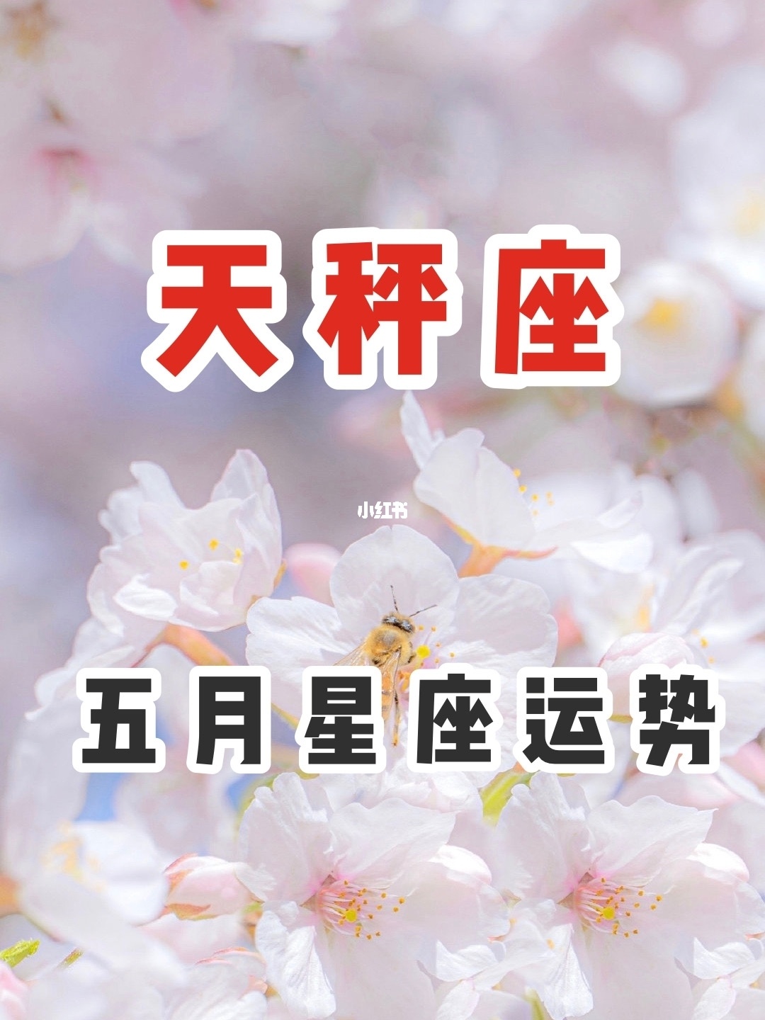 天秤座2022年2月桃花运势