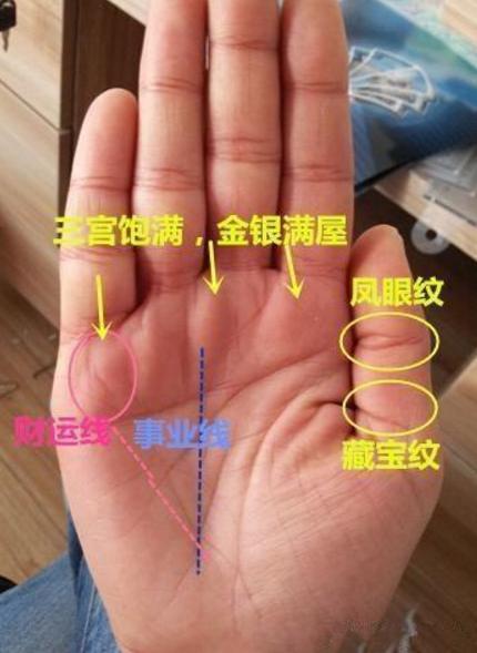 富贵手纹算命图解大全