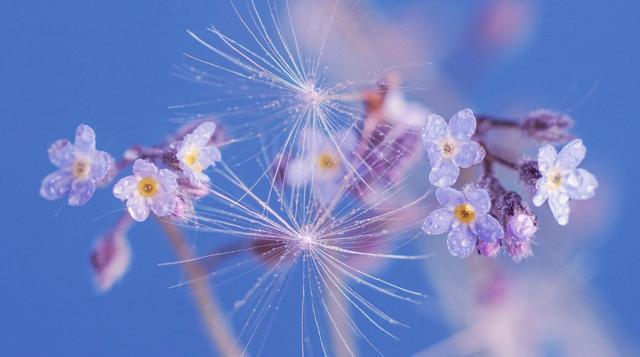 处女座2021年4月桃花运势