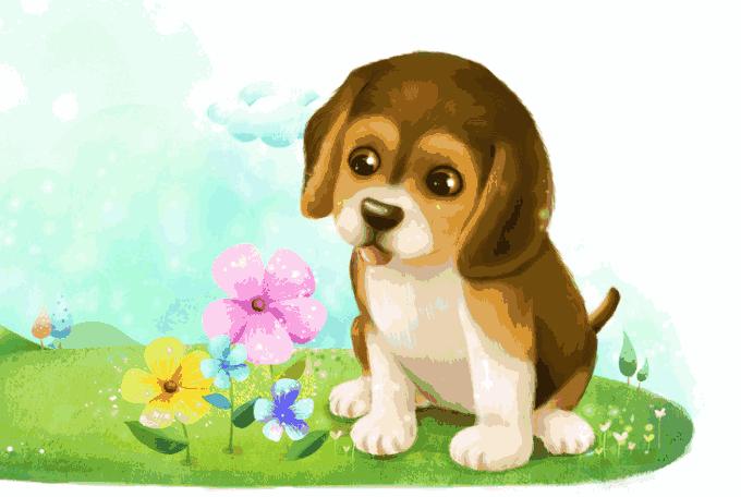 属狗女今日感情桃花运势