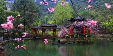 八字中的桃花运是什么意思