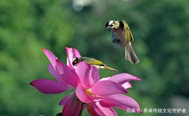 3生肖秋季桃花运势足