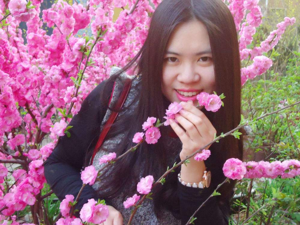 桃花运多了会影响什么周公解梦