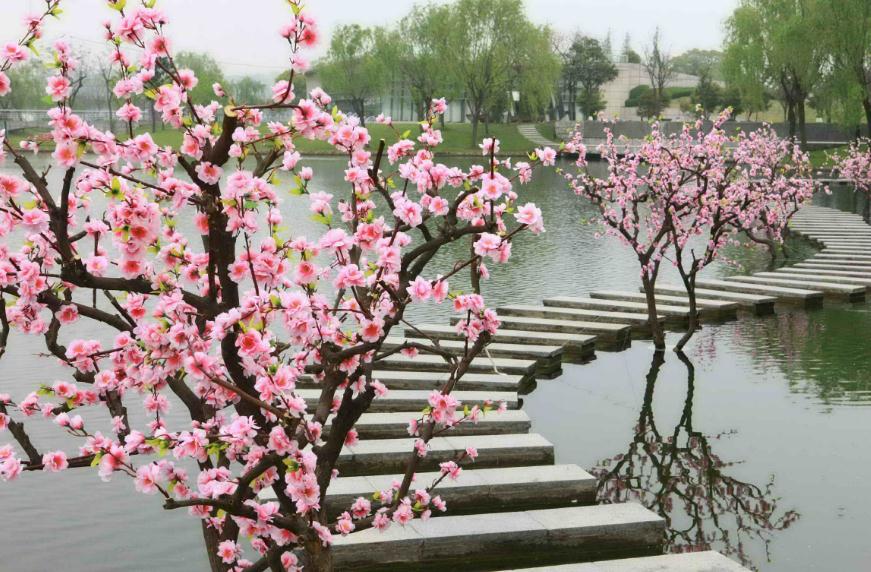 生肖猴六月桃花运势