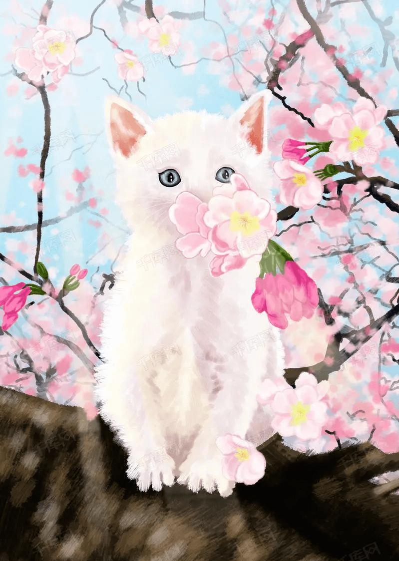 桃花运运势都在这里了的简单介绍
