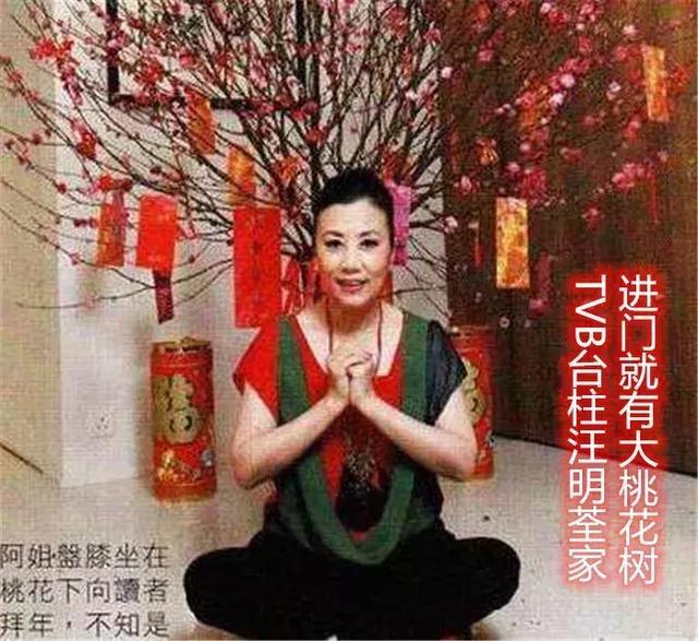 算命能算我是什么么桃花运