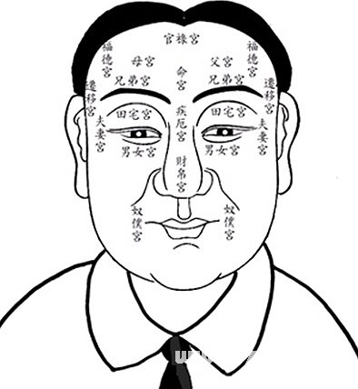 关于看相富贵相面相与命运的信息