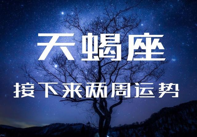 逆位星币十桃花运势