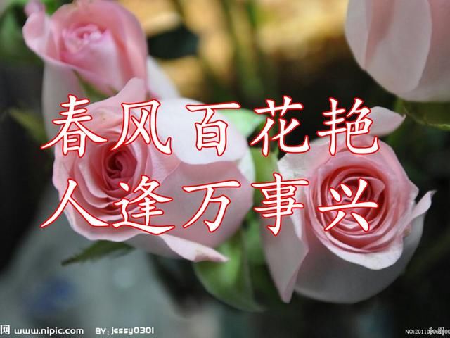桃花运势网