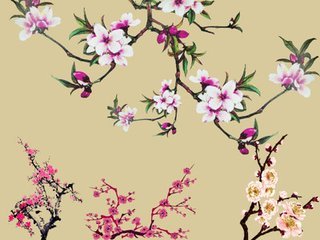 生辰八字看女人桃花运