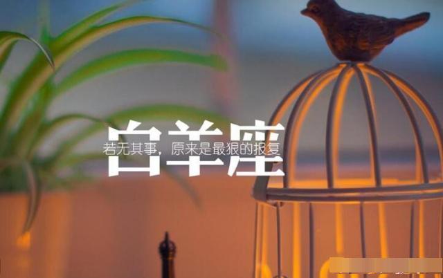摩羯座桃花运2021运势