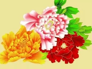 四大生肖桃花运势旺盛