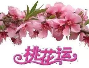 12月上旬桃花运运势的简单介绍
