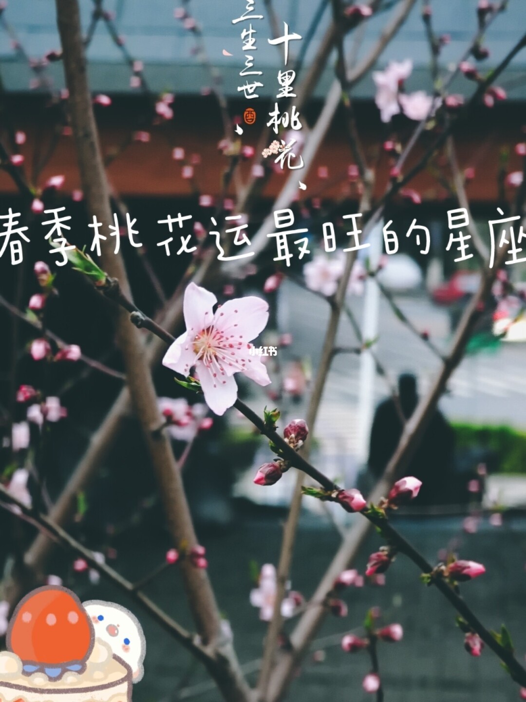 哪些星座的桃花运势满满