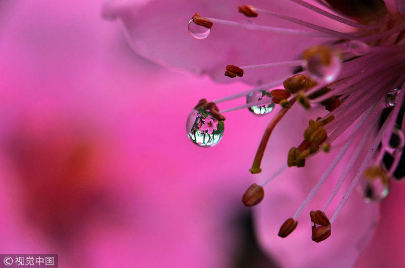 算命的说我走桃花运