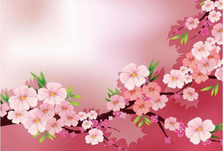 哪些八字命里桃花运比较好