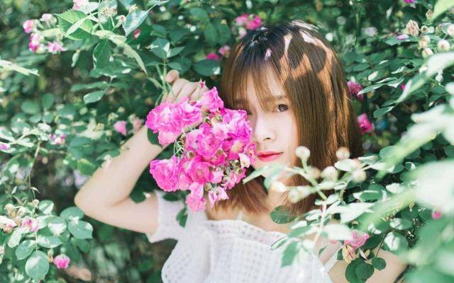 桃花运势回笼