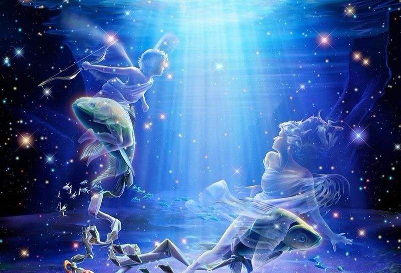 个星座的桃花运势如何