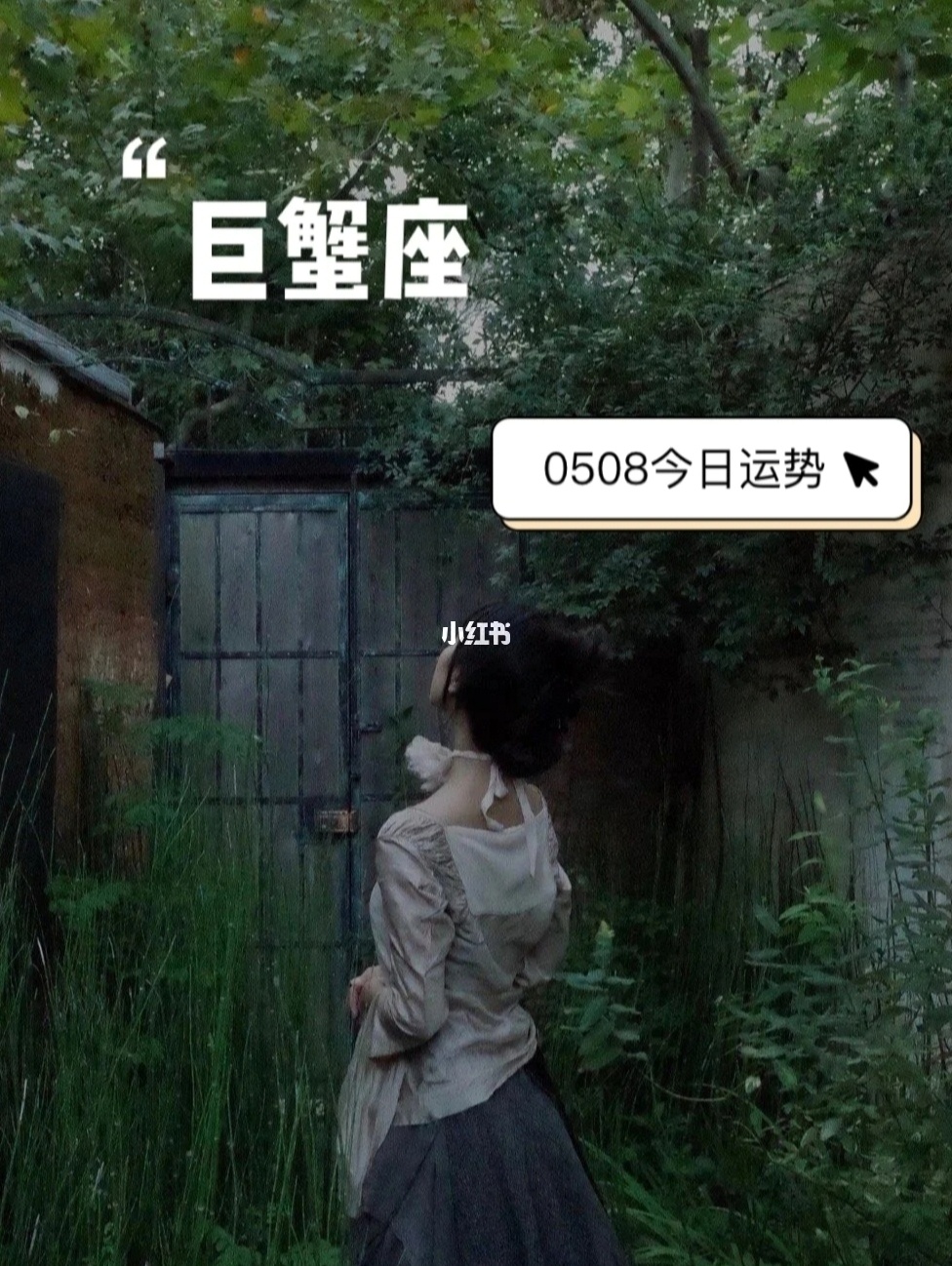 巨蟹座今日运势桃花运