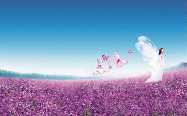 2021年桃花运势怎样