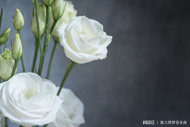 白羊座2021年的桃花运势的简单介绍