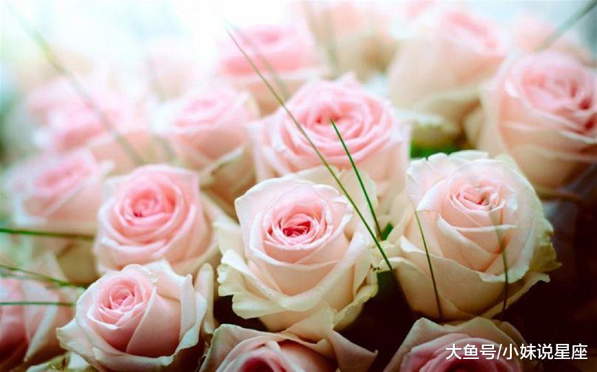 关于感情运势里烂桃花运是什么意思的信息