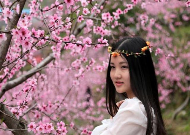 算命财运事业感情婚姻桃花运势