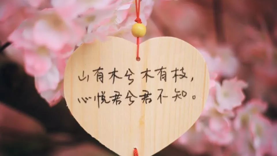 生肖运势桃花运势