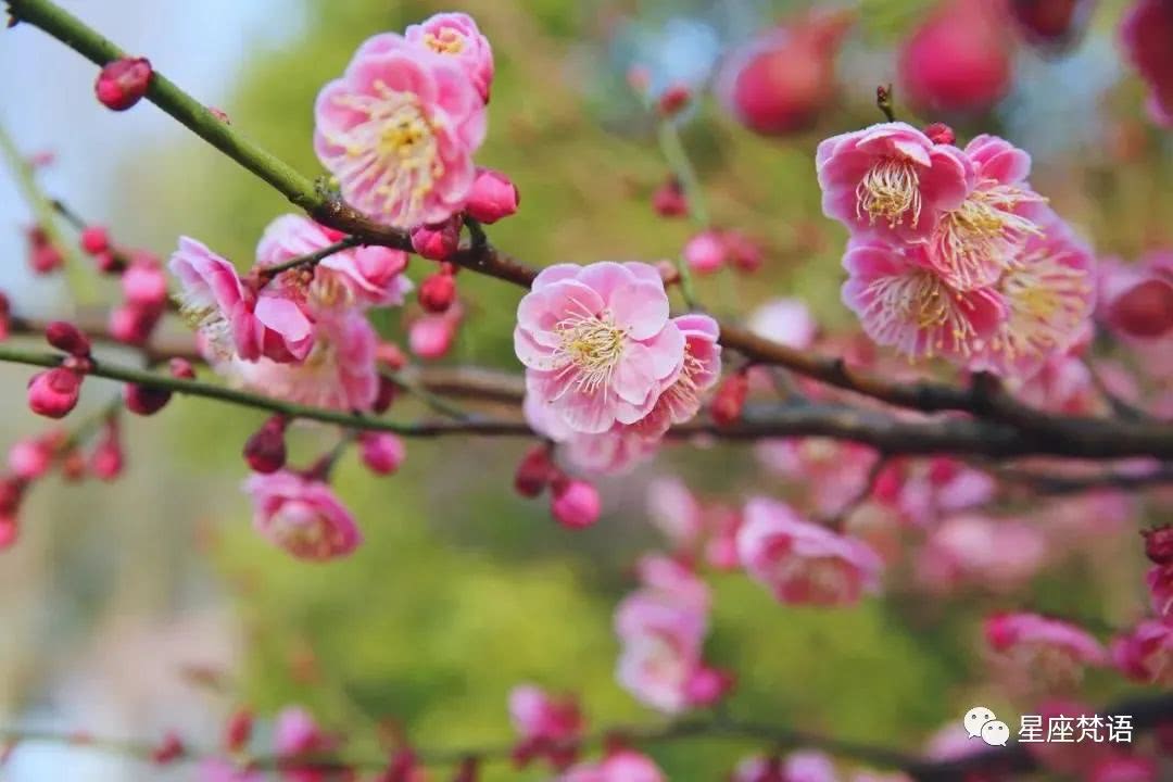 八字女人什么时候交桃花运
