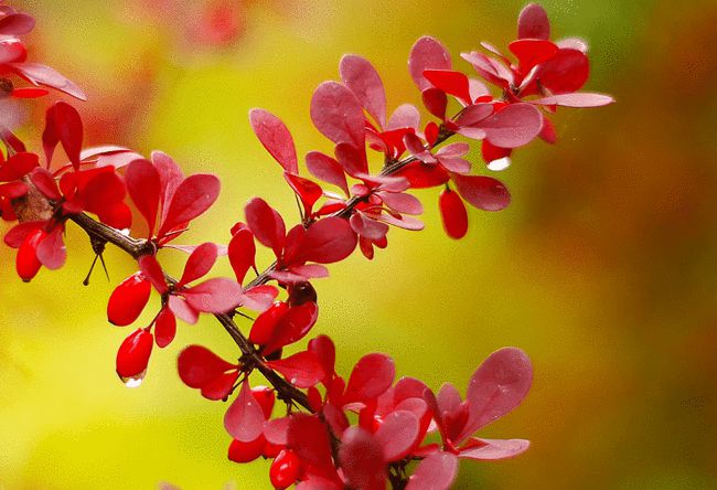 2022属鼠7月份桃花运势如何