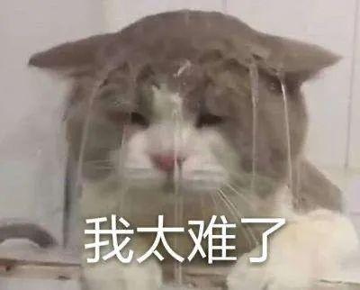 八字青龙如何查询 八字青龙如何查询