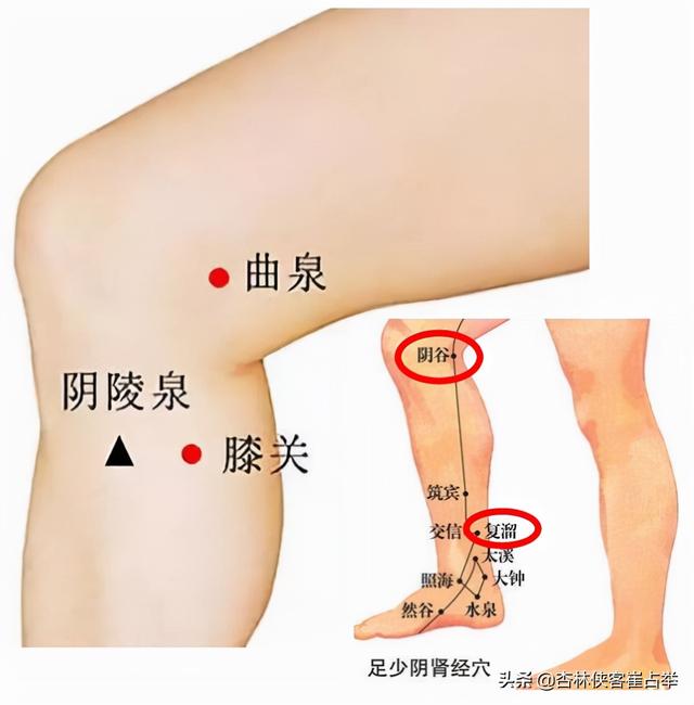 八字与子午流注 八字与子午流注