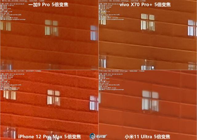南方批八字v1.2apk下载
