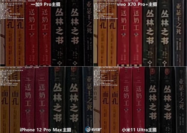 南方批八字v1.2apk下载