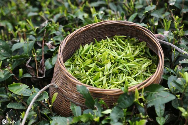 茶礼八字诀 茶礼八字诀