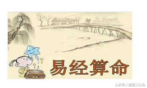 八字算命专论乙木