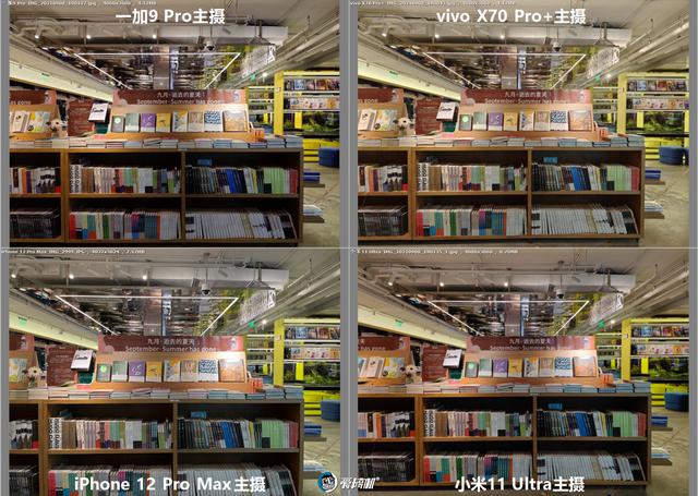 南方批八字v1.2apk下载