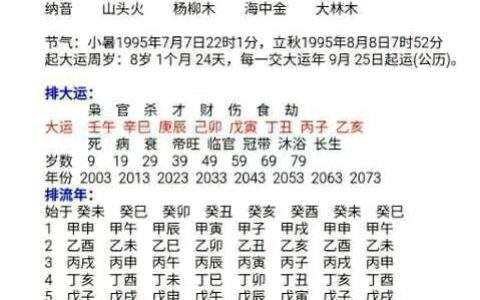 1990年农历五月十五生辰八字的简单介绍