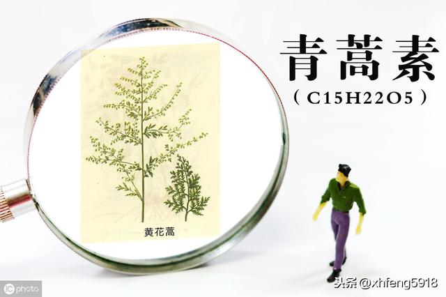 生辰八字算命学习