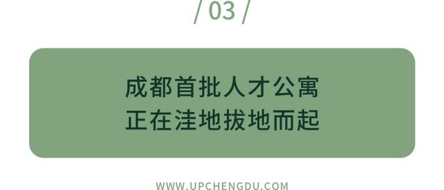 八字青龙如何查询 八字青龙如何查询